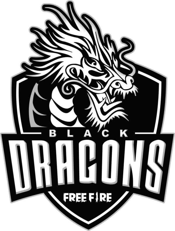 BLACK DRAGON team